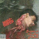 The Meat Shits - Sniper At The Fag Parade